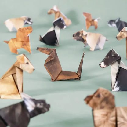 DIY Paper Animals™